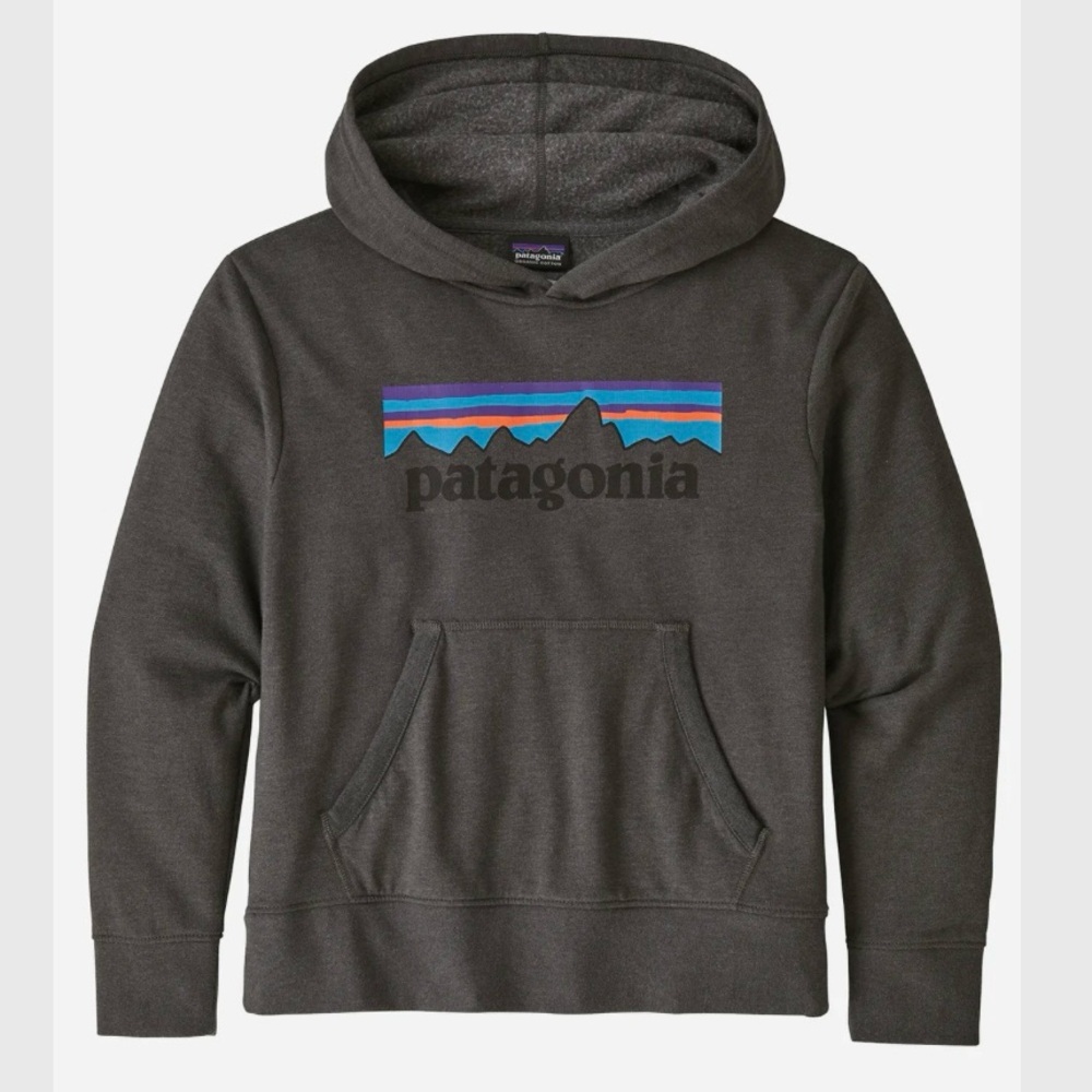 Patagonia Kids Charcoal Hoodie Sweater